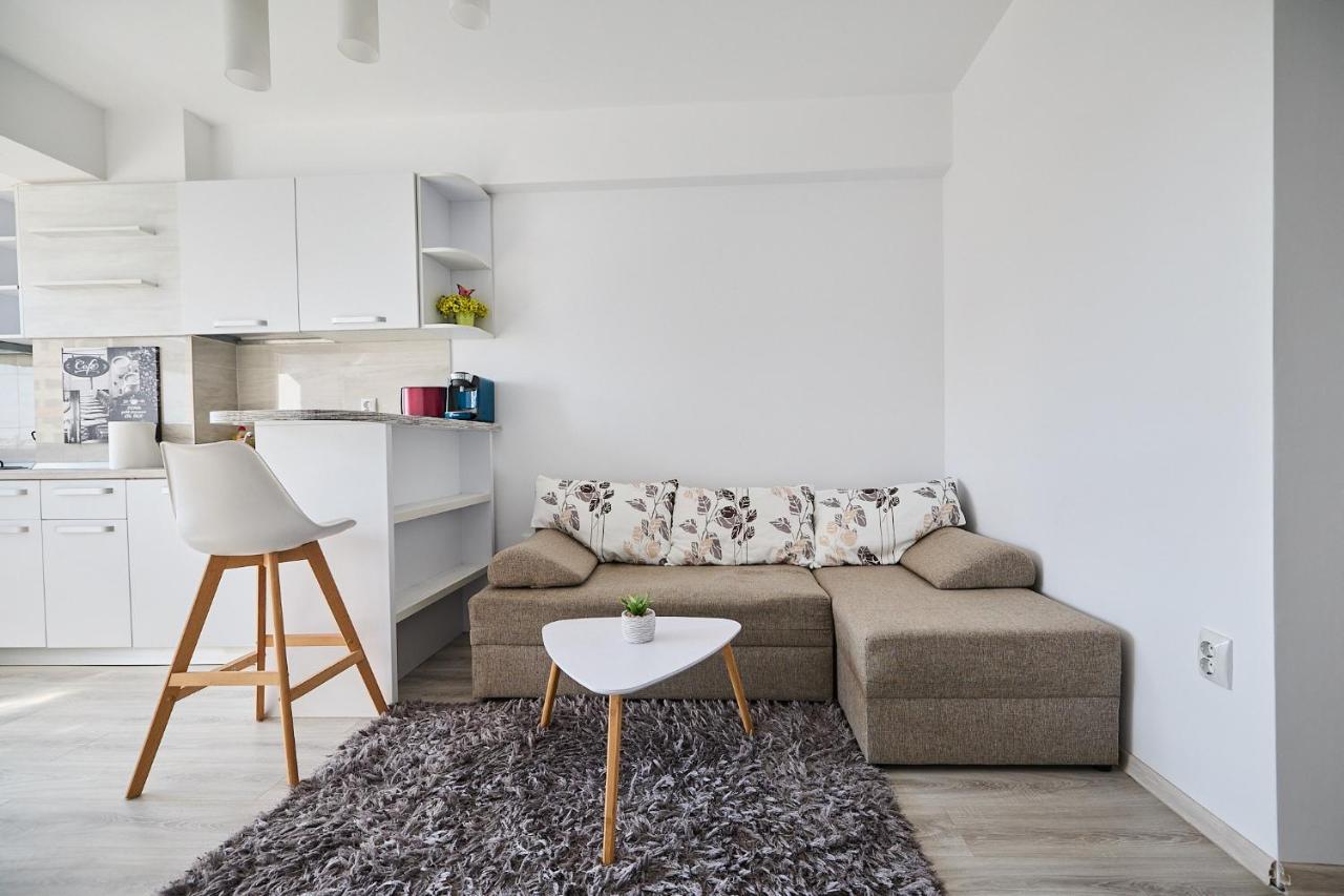 Alessandro Home 9 Luxury Centru Palas Mall Iasi Moldovei 30 Εξωτερικό φωτογραφία