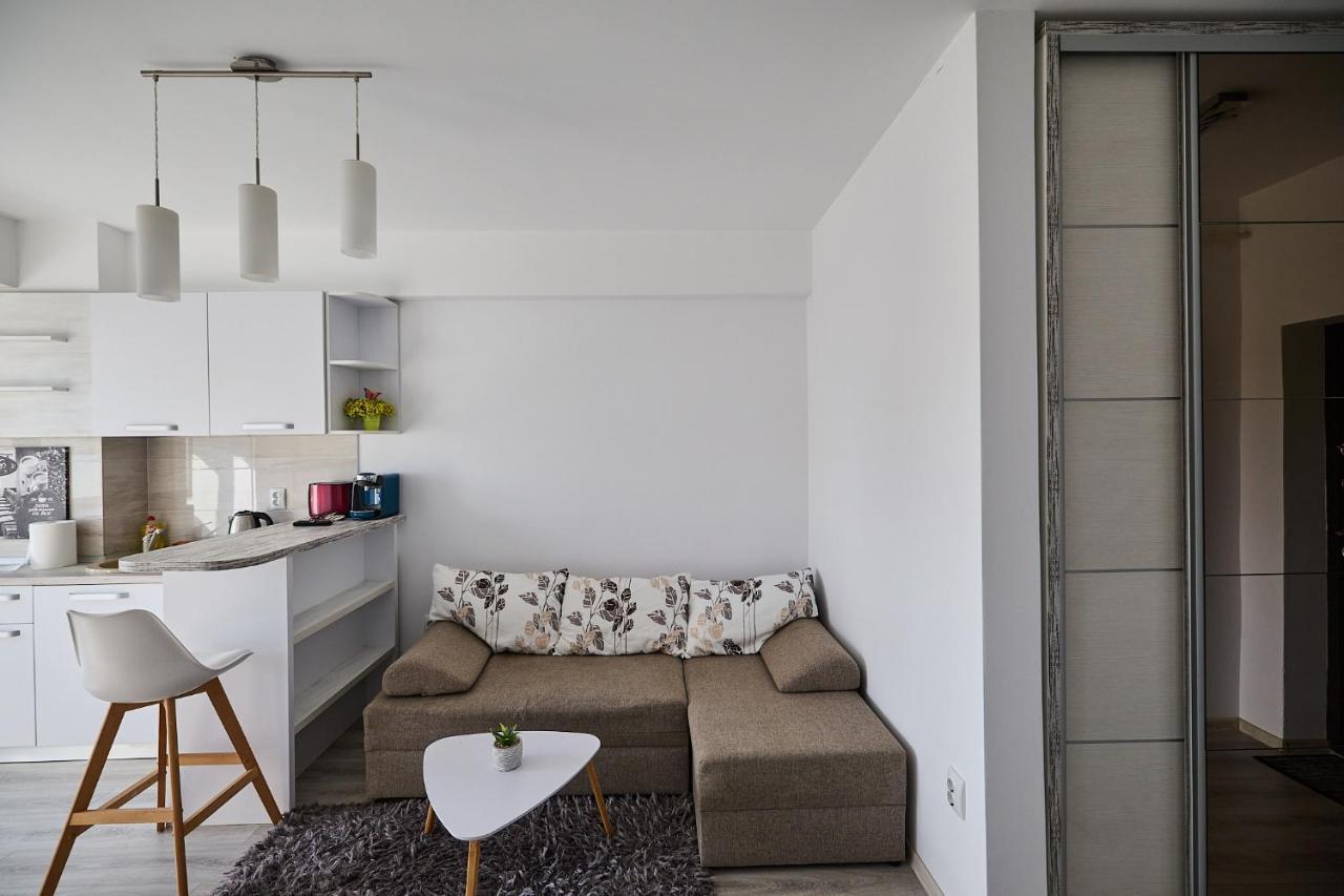 Alessandro Home 9 Luxury Centru Palas Mall Iasi Moldovei 30 Εξωτερικό φωτογραφία